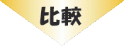 補正オプション機能